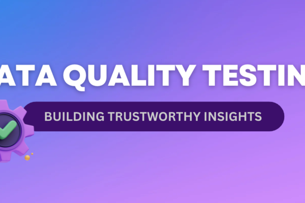 Data Quality Testing Cover image