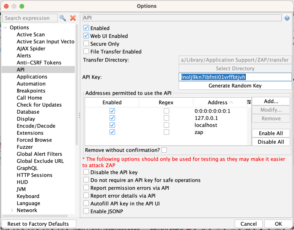OWASP ZAP api key